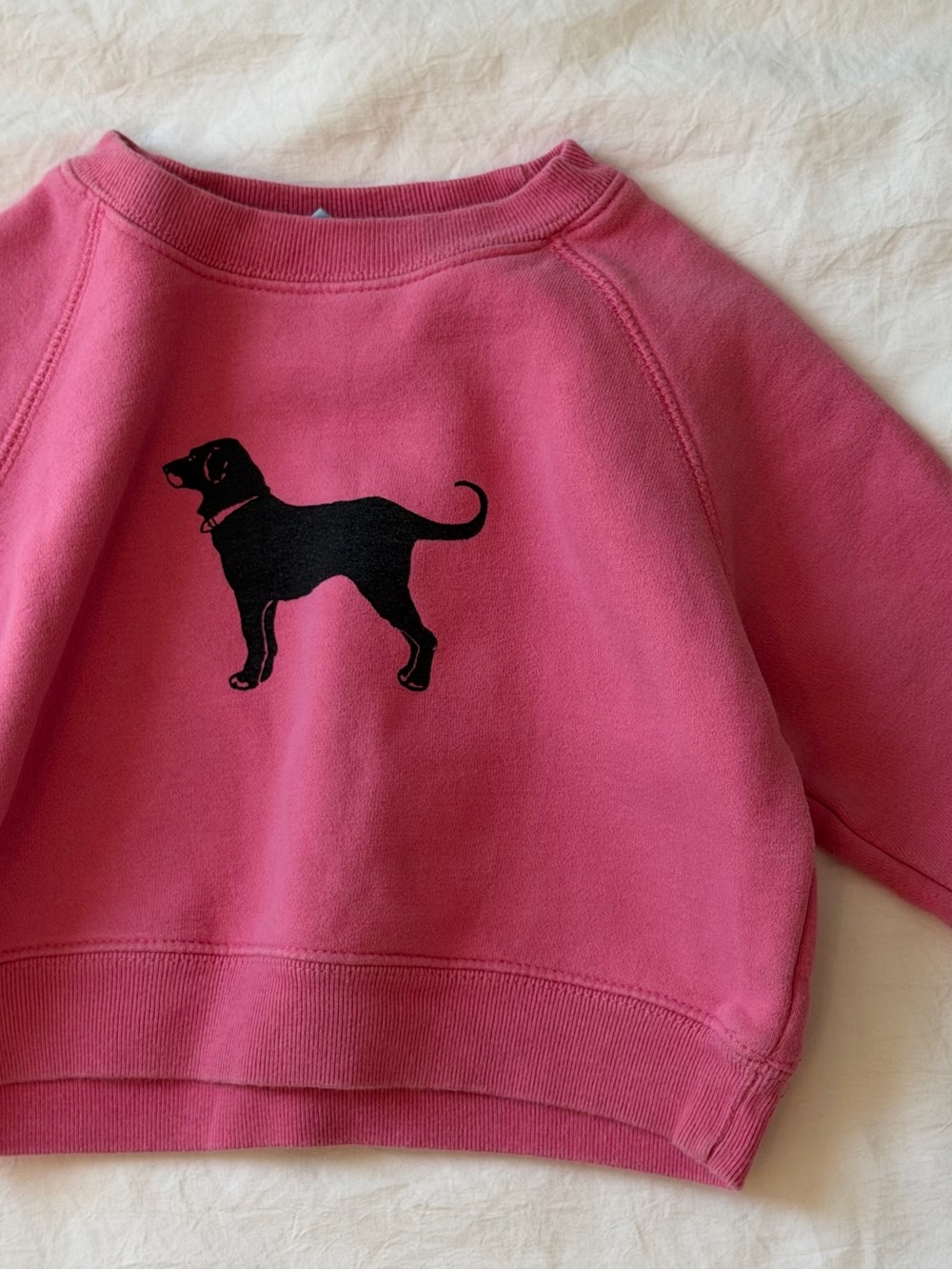 The Black Dog Martha’s Vineyard Pink Crewneck Sweatshirt 12-18M